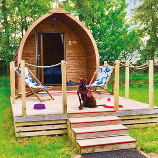 Glamping Pods